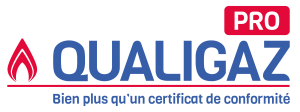 Logo QUALIGAZ PRO