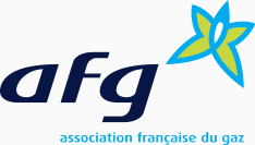 Logo AFG
