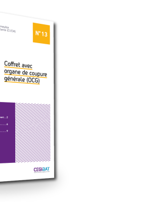 Organe de coupure générale (OCG)